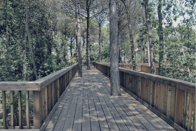 Path in the park. Merville, House in the Park, Jesolo (VE)